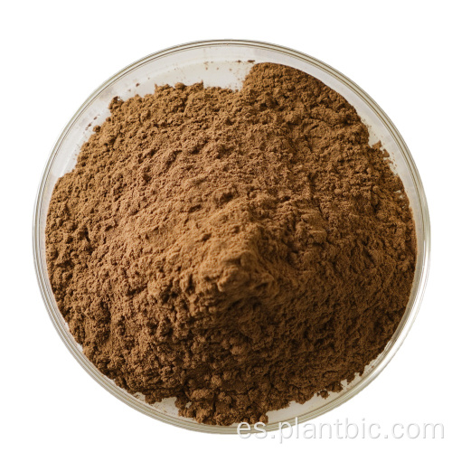 Extracto de chaga de alta pureza Polvo suplemento natural Polisacáridos de extracto de Chaga
